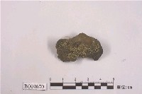 藏品(地圖衣)的圖片